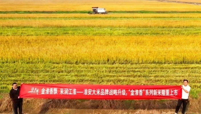 淮安大米新米上市！“金淮香”系列隆重登場